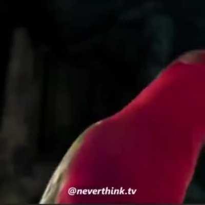 Red birb means business