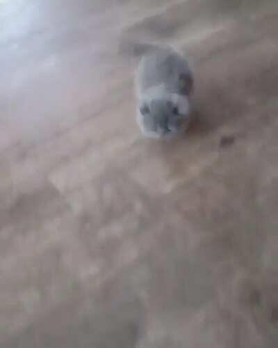 Wiggle wiggle wiggle