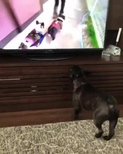 Right Behind You Guys