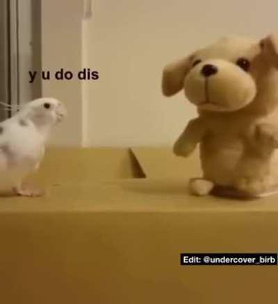 Перестань, перестань