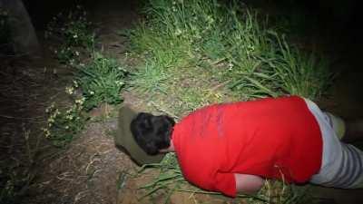 Ultimate Spud Cannon Nutshot