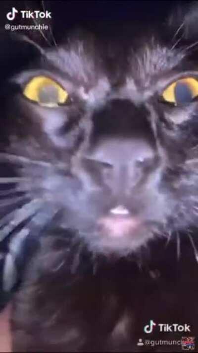 I’m 15 and this is yeet