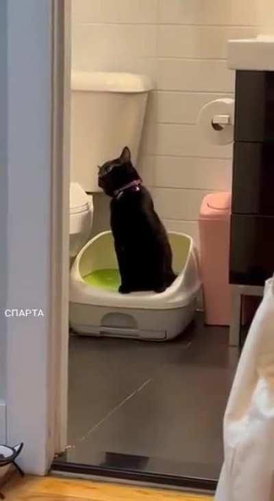 Когда пошёл в толкан без телефона.