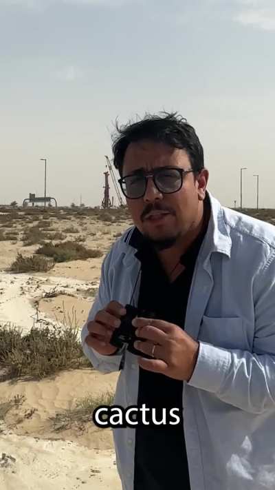 How Arabian this Oryx is actually 🤔