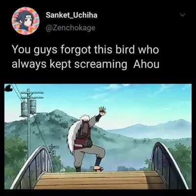 I miss this bird now