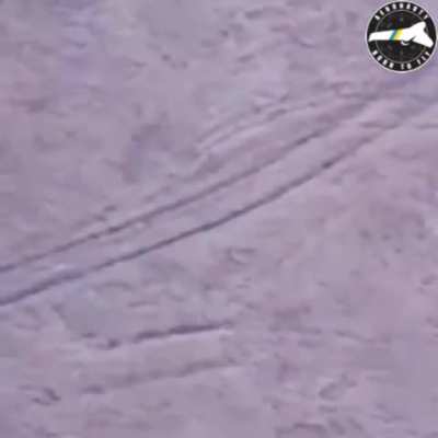 Ukrainian Shark UAV of the Aeronavty unit directed fire on a Russian Hyacinth-S self propelled artillery system. February 2025.