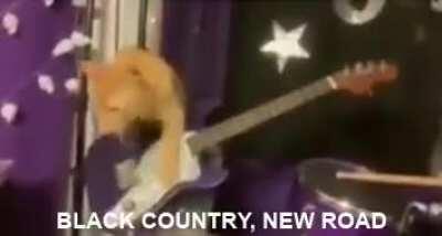 Black_Country_New_Road.mp4