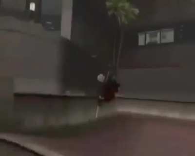 Devil May Cry 3 Special Edition (2006)