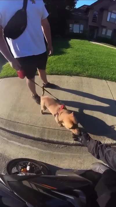 Screaming in lowercase