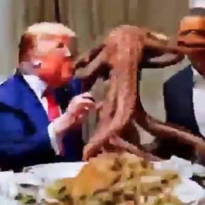 Reelin' in the years