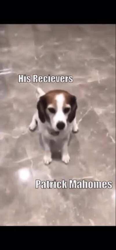 I’m sorry Patrick.