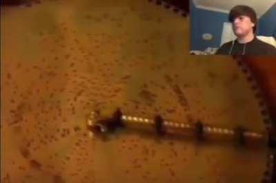 reacting to this music disk