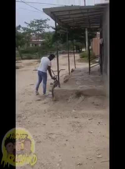 Teaching a lesson for stealing