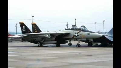 Tomcats out of our league