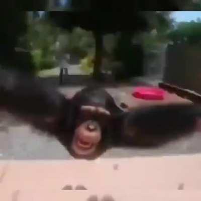 This is for you, my fellow chads