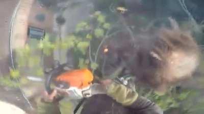 Another Plants and fire don’t mix well