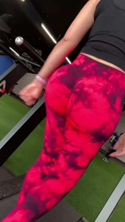 Taking my bolt on for a walk in the gym [oc]