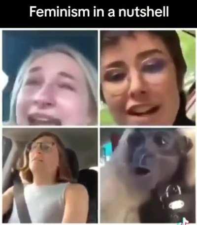 The only difference is monkeys are fun to be around.