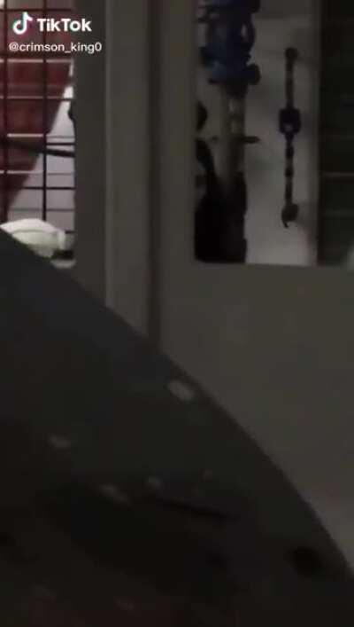 Bro...back when I was a Delivery Rider, this has got to be one of my worst nightmares at night. *Tactically shit pants.*