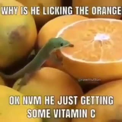 need some karma please help me :)