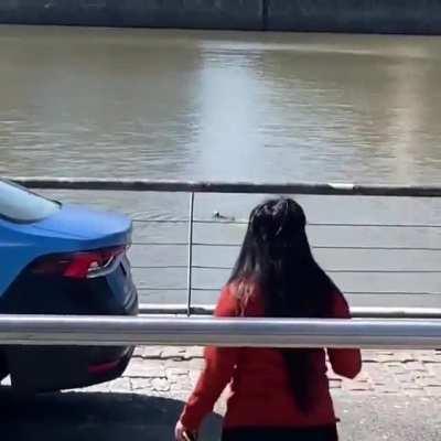 Manoseó a una mujer, lo detuvieron y se tiró al agua para escapar, se fue nadando esposado: 