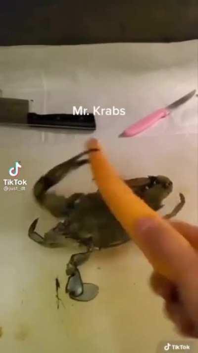 LAN YENGECE NAPTIN OROSPU EVLADI