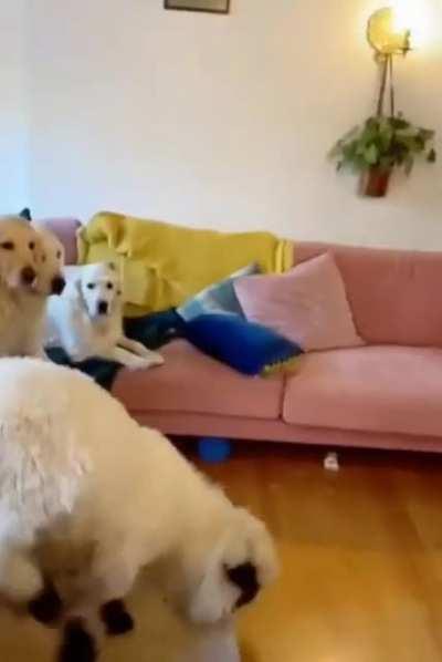 They were having a meeting