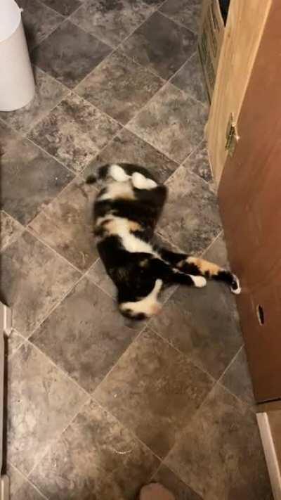 This is her “Please give me attention” dance