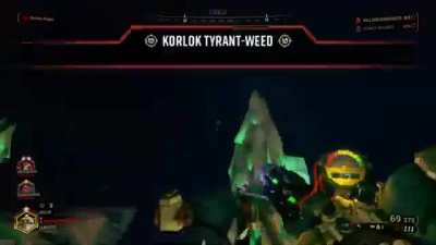 Everything Goes Wrong