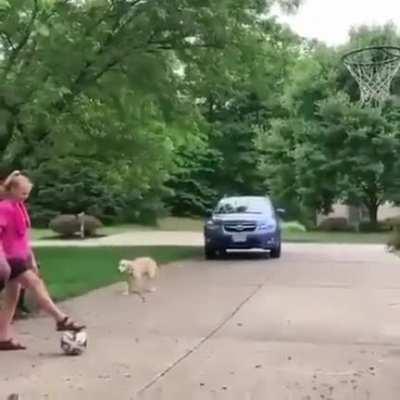 What did I just watch ?