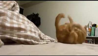 Less than one brain cell