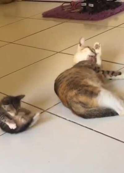 control-c, control-V