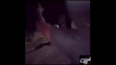 When doboys get gifted.