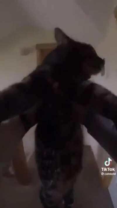 Wunk has been contained