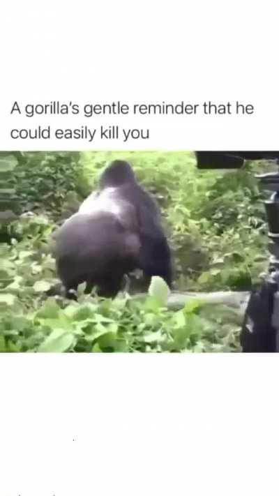 Just a friendly reminder