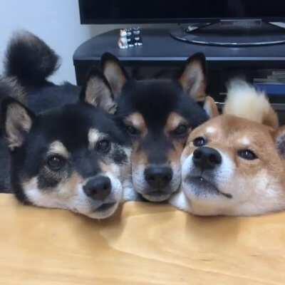 Name a more iconic trio...I'll wait