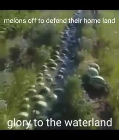 The Melonian Army, Conqueror Of Nations.