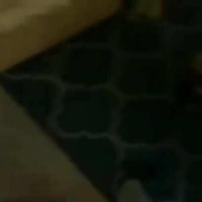 Win Stupid Prizes by Stomping on a Metal Vape