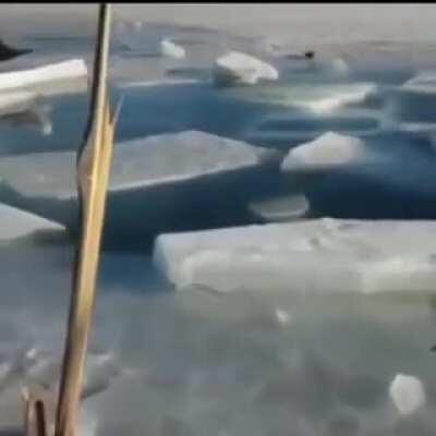 WCGW parking cars on ice?