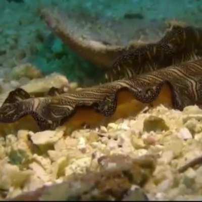 WEEK 12 OF FLAT WORK FRIDAY