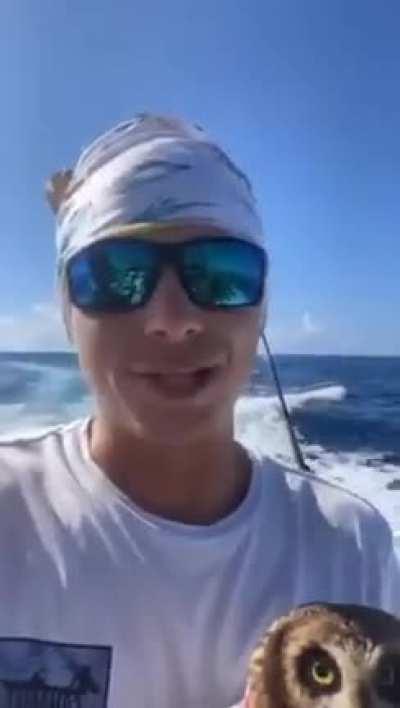 Two men saves an owl