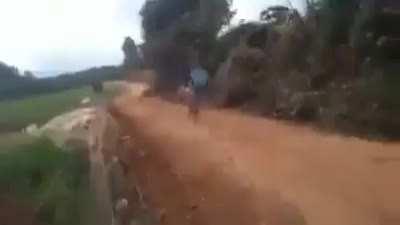 Daniel Molo morre após puxar a vinheta 😭