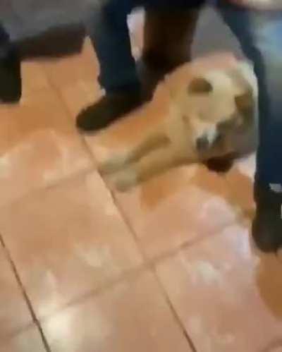 Anything you can do, I can do better