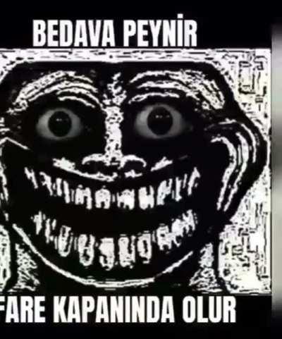 Sokak sanatçısı farenin hazin sonu