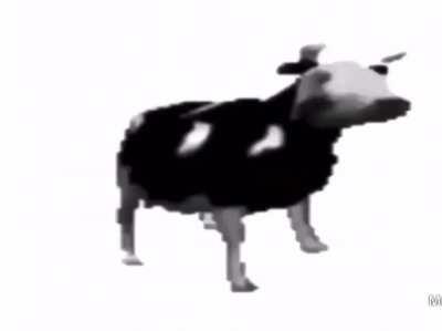 esta vaca con cualquier canción es buena