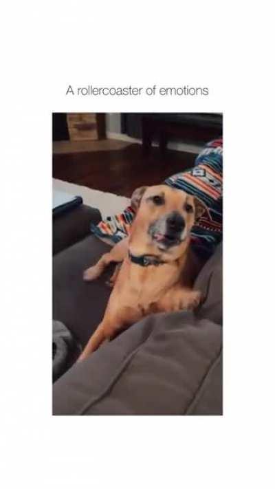 I’ve watched this 1000 times 😂