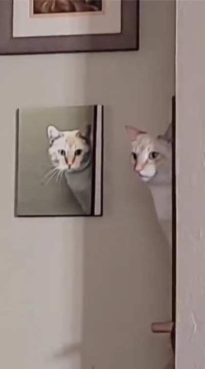 The prophecy is true