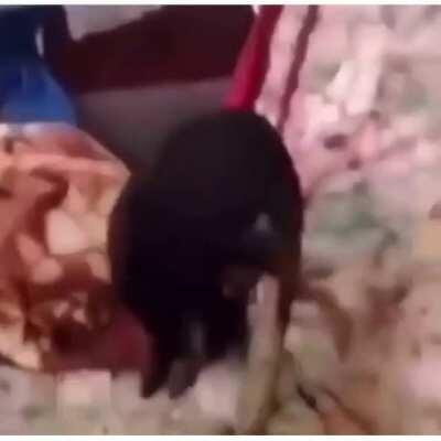 You gotta do what you gotta do