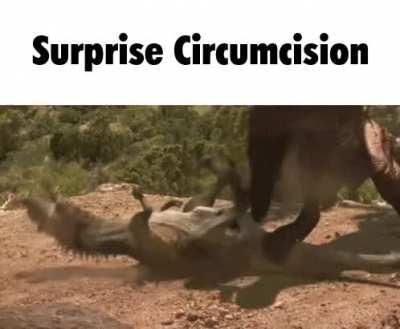 Surprise!