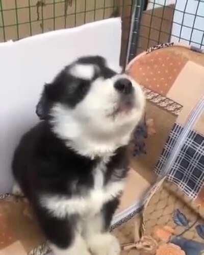 I just can't....my heart 🥺